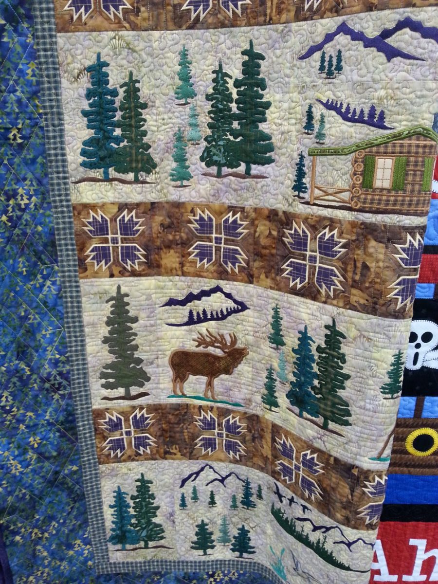 Top 5 Quilting Trends 2016 Wisconsin Quilt Expo Seams And Scissors